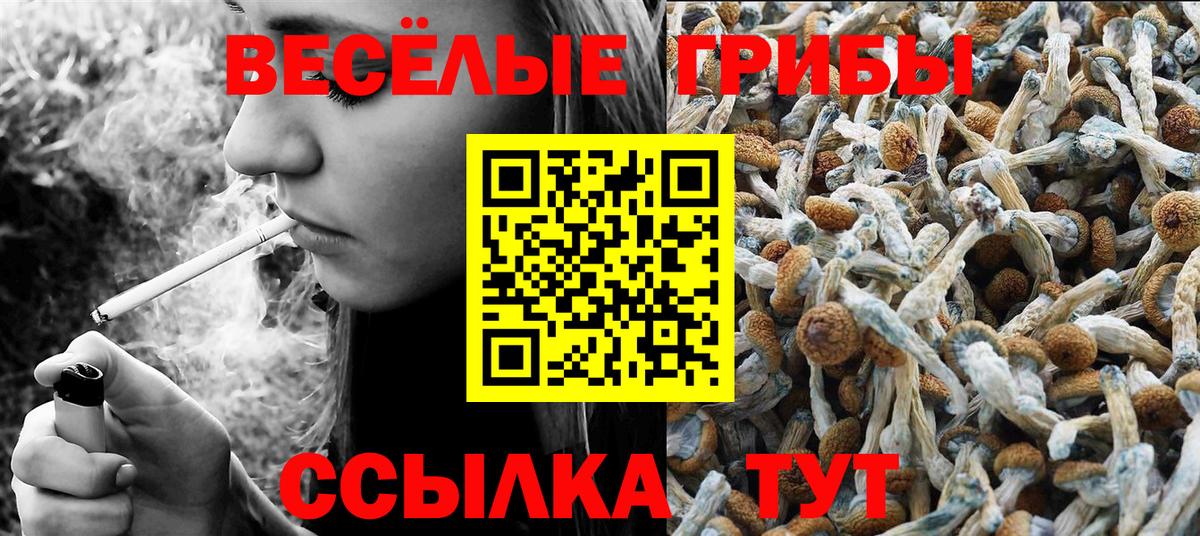 Галлюциногенные грибы GOLDEN TEACHER Южно-Сахалинск