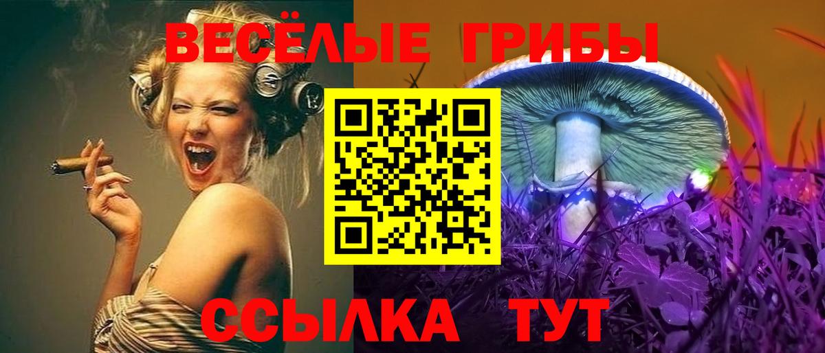 Южно-Сахалинск  Псилоцибиновые грибы Psilocybe  Вход с VPN 